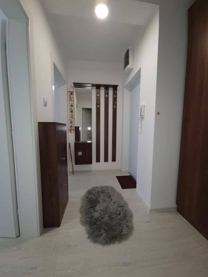 Apartman Kerkez Сокобаня Екстер'єр фото